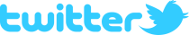 twitter_2010_logo_-_from_commons-svg
